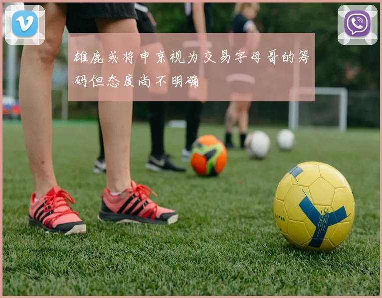雄鹿或将申京视为交易字母哥的筹码但态度尚不明确